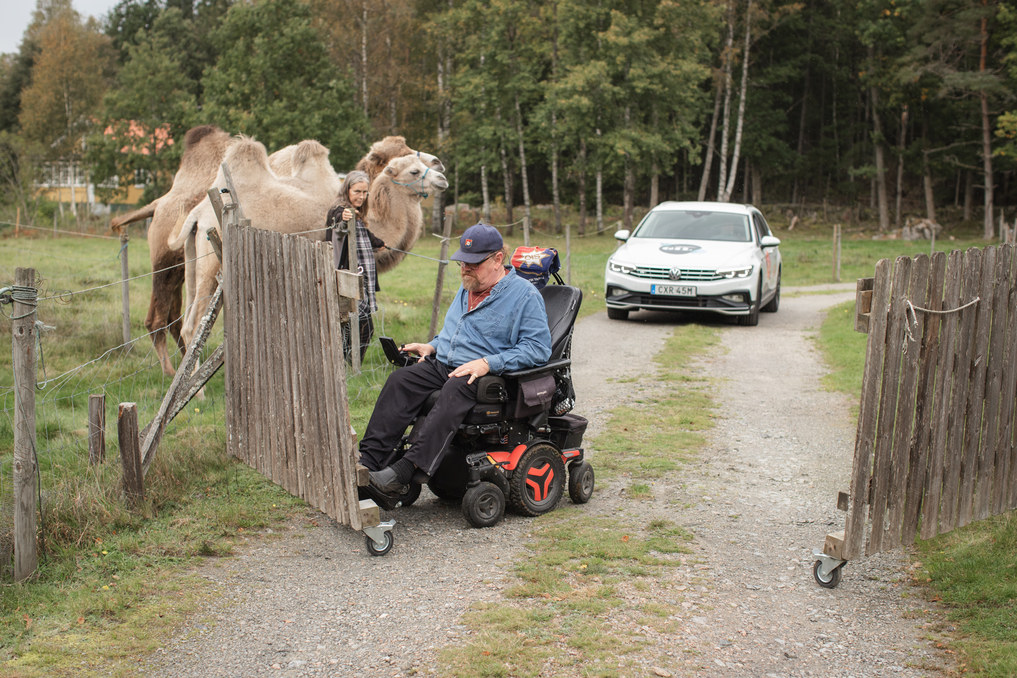 Lantlig miljö, man i elrullstol öppnar stor grind, kameler tittar på, bil i bakgrunden.