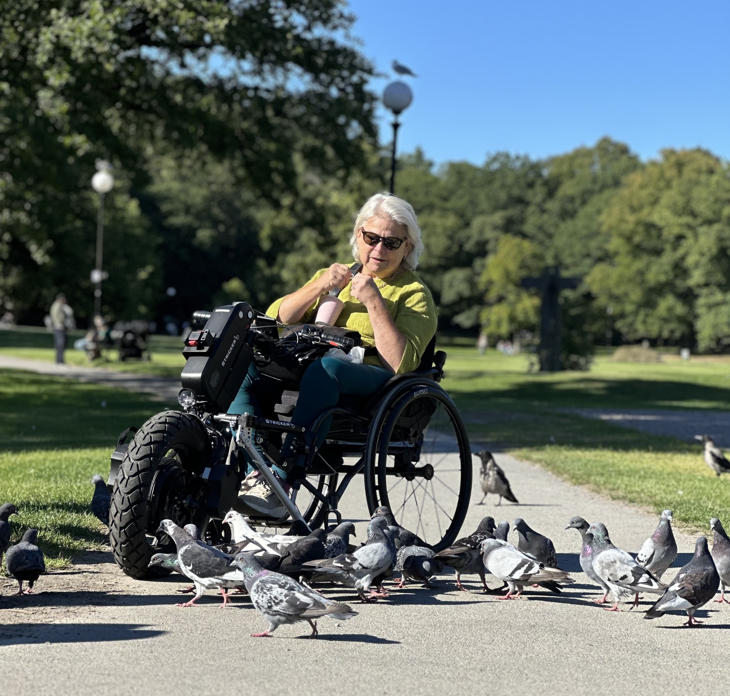 AW : Picknick med poängpromenad